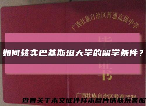 如何核實巴基斯坦大學的留學條件？縮略圖