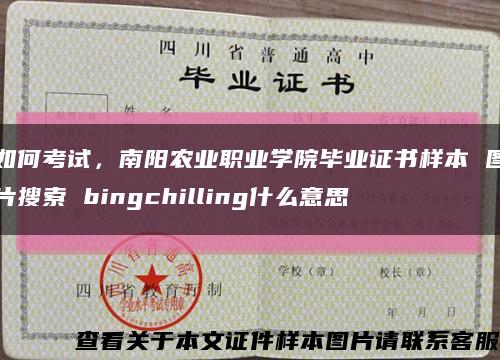 如何考試，南陽農業職業學院畢業證書樣本 圖片搜索 bingchilling什么意思縮略圖