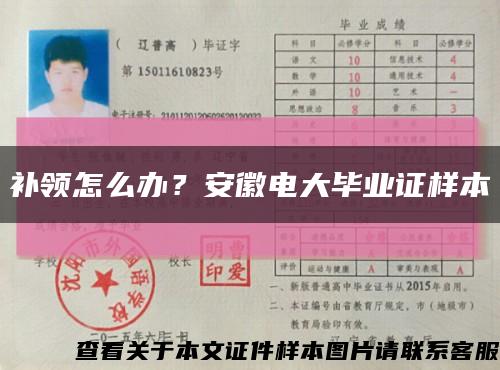 補領怎么辦？安徽電大畢業證樣本縮略圖