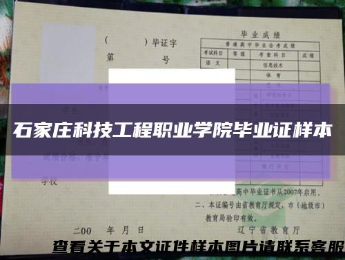 石家莊科技工程職業學院畢業證樣本縮略圖