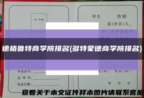 德格魯特商學院排名(多特蒙德商學院排名)縮略圖
