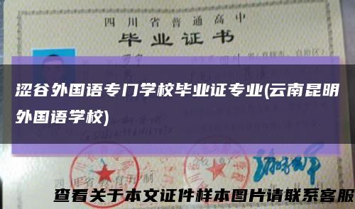 澀谷外國語專門學校畢業證專業(云南昆明外國語學校)縮略圖