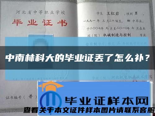 中南林科大的畢業證丟了怎么補？縮略圖