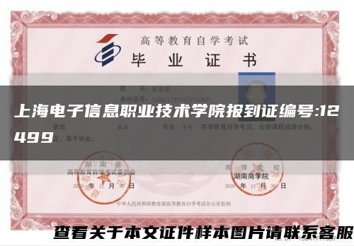 上海電子信息職業技術學院報到證編號:12499縮略圖