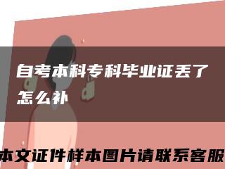 自考本科?？飘厴I證丟了怎么補縮略圖