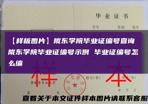 【樣板圖片】隴東學院畢業證編號查詢 隴東學院畢業證編號示例 畢業證編號怎么編縮略圖