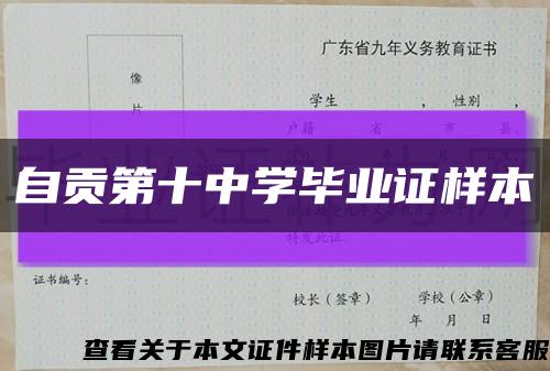自貢第十中學畢業證樣本縮略圖