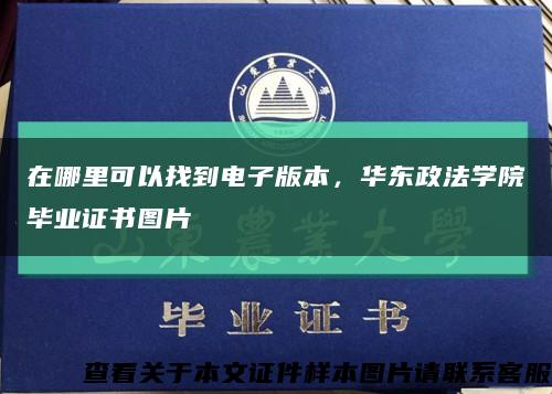 在哪里可以找到電子版本，華東政法學院畢業證書圖片縮略圖