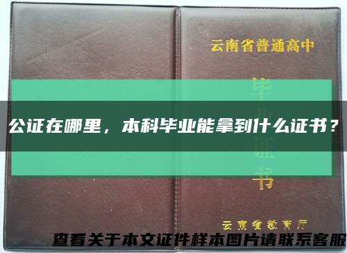 公證在哪里，本科畢業能拿到什么證書？縮略圖