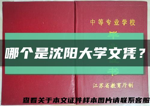 哪個是沈陽大學文憑？縮略圖