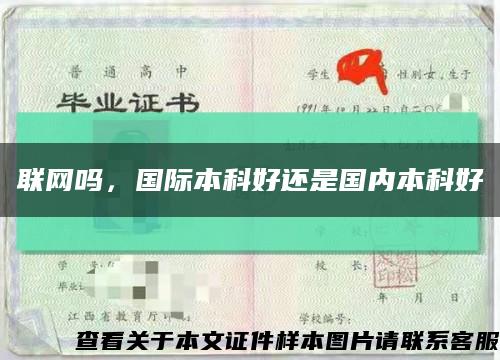 聯網嗎，國際本科好還是國內本科好縮略圖