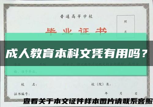 成人教育本科文憑有用嗎？縮略圖