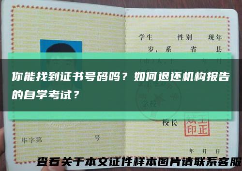 你能找到證書號碼嗎？如何退還機構報告的自學考試？縮略圖