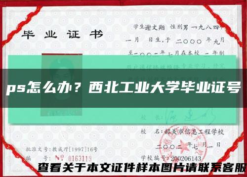 ps怎么辦？西北工業大學畢業證號縮略圖