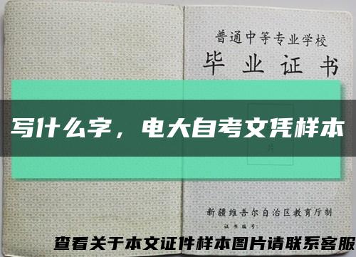 寫什么字，電大自考文憑樣本縮略圖