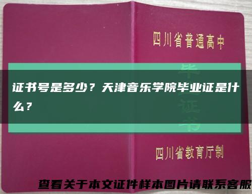 證書號是多少？天津音樂學院畢業證是什么？縮略圖