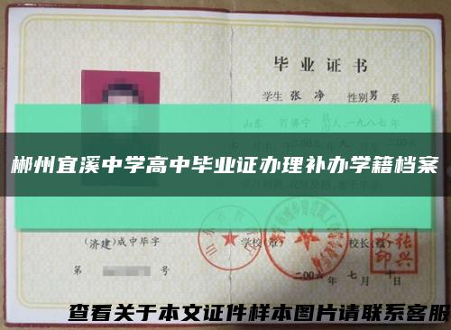 郴州宜溪中學高中畢業證辦理補辦學籍檔案縮略圖