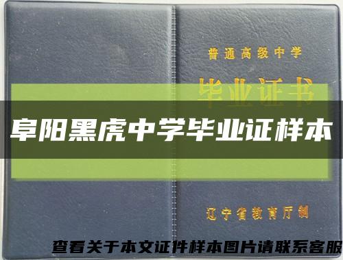 阜陽黑虎中學畢業證樣本縮略圖