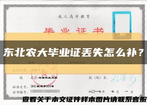 東北農大畢業證丟失怎么補？縮略圖