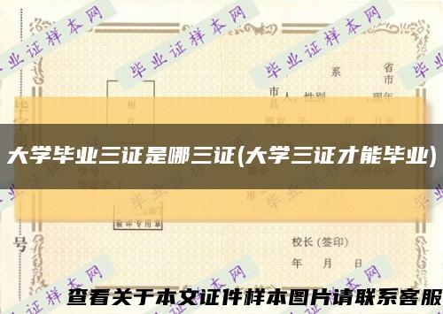 大學畢業三證是哪三證(大學三證才能畢業)縮略圖