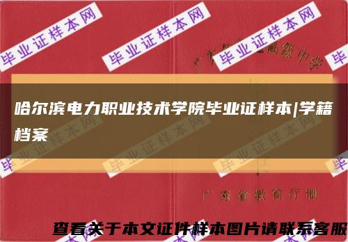 哈爾濱電力職業技術學院畢業證樣本|學籍檔案縮略圖