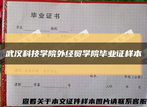 武漢科技學院外經貿學院畢業證樣本縮略圖