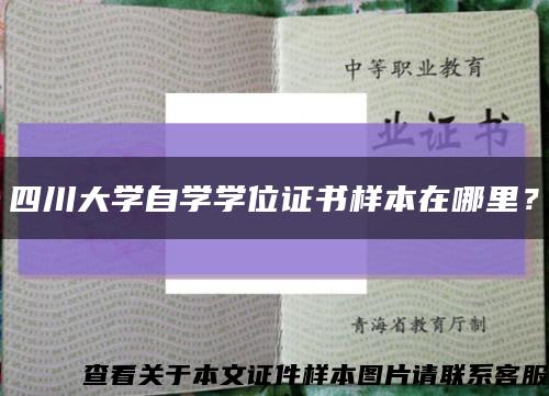 四川大學自學學位證書樣本在哪里？縮略圖