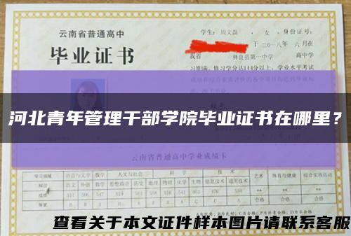 河北青年管理干部學院畢業證書在哪里？縮略圖