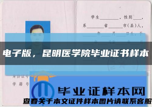 電子版，昆明醫學院畢業證書樣本縮略圖