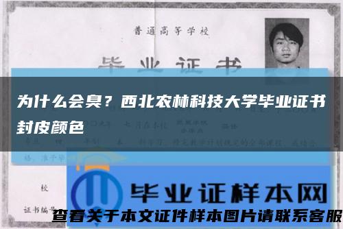 為什么會臭？西北農林科技大學畢業證書封皮顏色縮略圖
