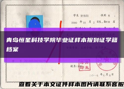 青島恒星科技學院畢業證樣本報到證學籍檔案縮略圖