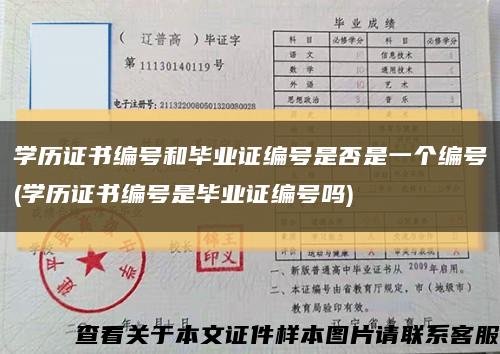學歷證書編號和畢業證編號是否是一個編號(學歷證書編號是畢業證編號嗎)縮略圖