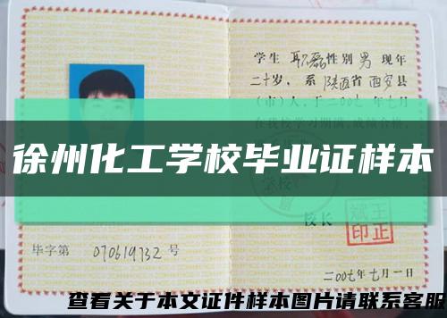 徐州化工學校畢業證樣本縮略圖