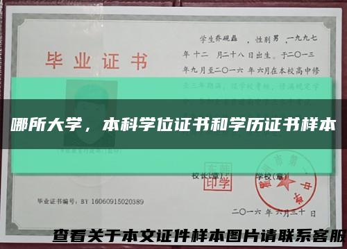 哪所大學，本科學位證書和學歷證書樣本縮略圖