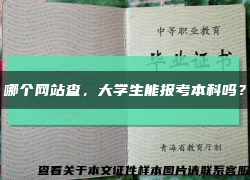 哪個網站查，大學生能報考本科嗎？縮略圖
