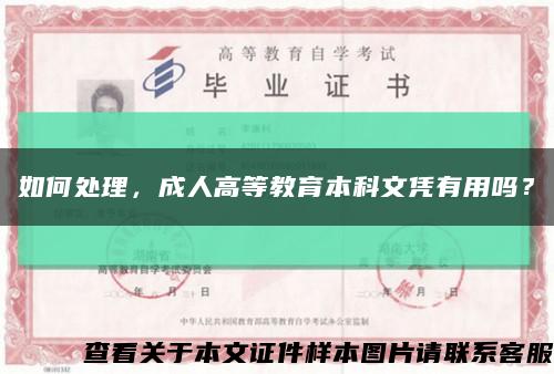 如何處理，成人高等教育本科文憑有用嗎？縮略圖