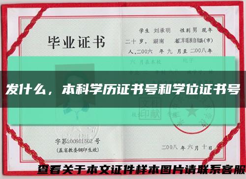發什么，本科學歷證書號和學位證書號縮略圖