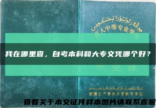 我在哪里查，自考本科和大專文憑哪個好？縮略圖