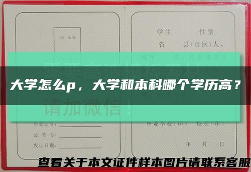 大學怎么p，大學和本科哪個學歷高？縮略圖