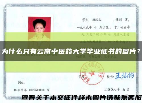 為什么只有云南中醫藥大學畢業證書的圖片？縮略圖