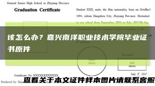 該怎么辦？嘉興南洋職業技術學院畢業證書原件縮略圖