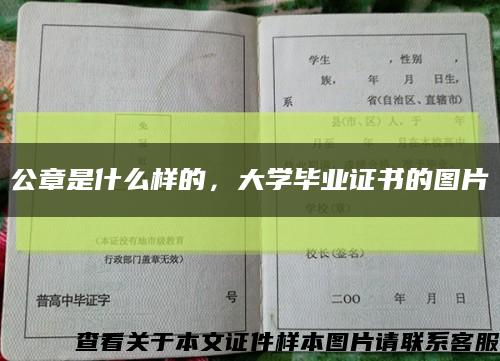 公章是什么樣的，大學畢業證書的圖片縮略圖
