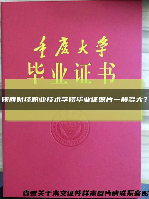 陜西財經職業技術學院畢業證照片一般多大？縮略圖