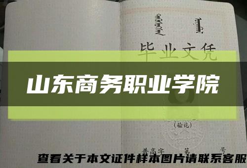 山東商務職業學院縮略圖