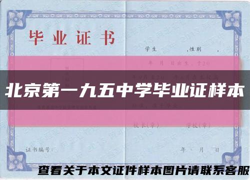 北京第一九五中學畢業證樣本縮略圖