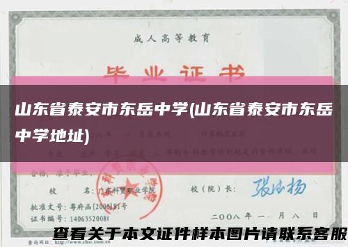 山東省泰安市東岳中學(山東省泰安市東岳中學地址)縮略圖