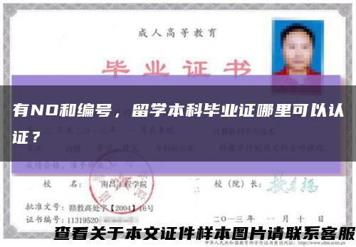 有NO和編號，留學本科畢業證哪里可以認證？縮略圖