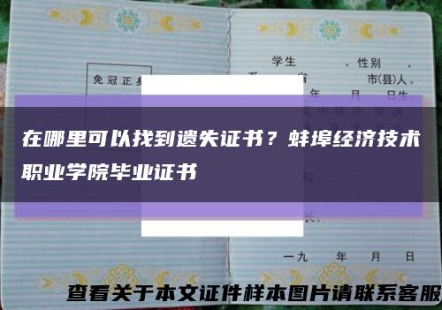 在哪里可以找到遺失證書？蚌埠經濟技術職業學院畢業證書縮略圖