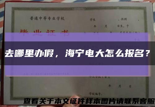 去哪里辦假，海寧電大怎么報名？縮略圖