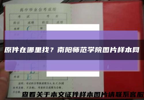 原件在哪里找？南陽師范學院圖片樣本網縮略圖